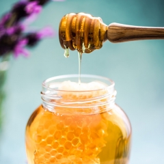 Chaste Bee Honey